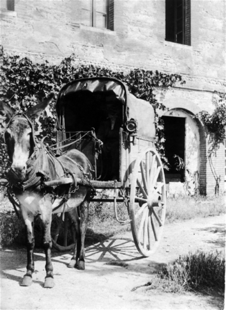 Carriole75.jpg