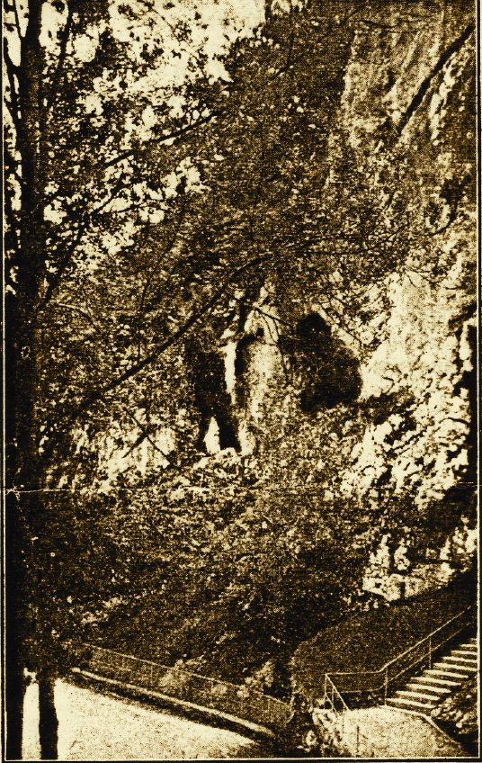 Chemins-grottes2.jpg