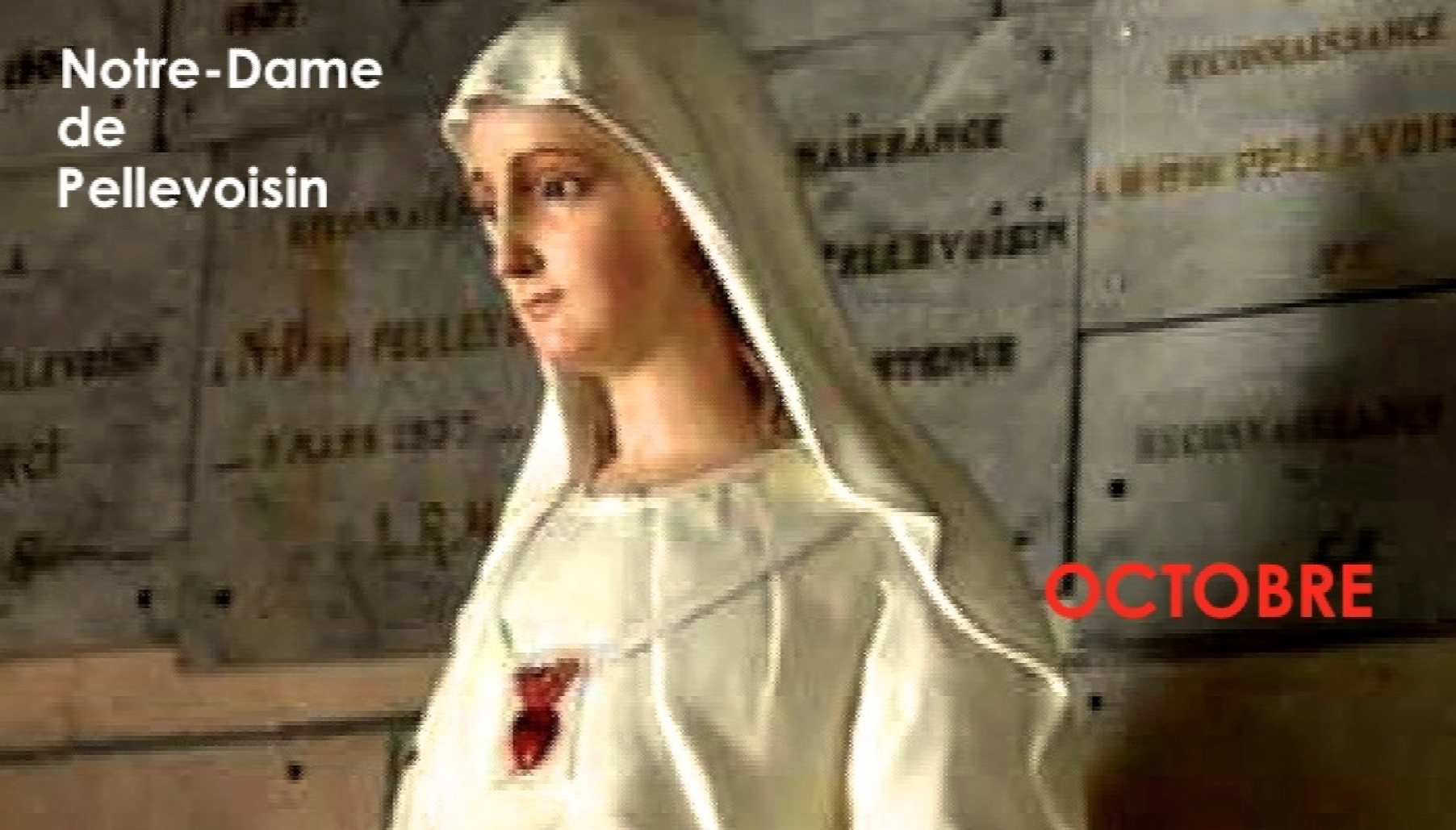 ND-Pellevoisin.jpg