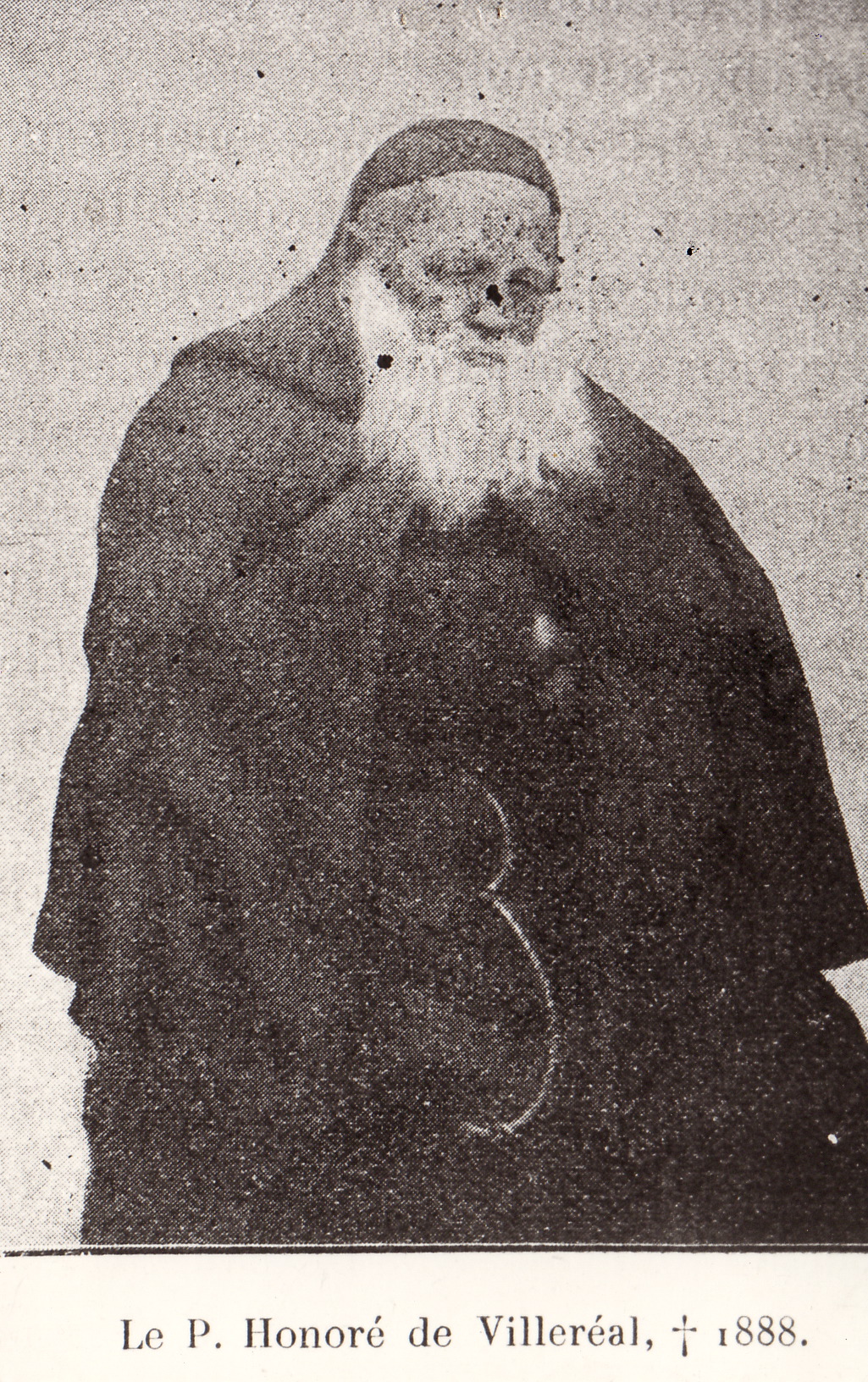 Tete-capucin1.jpg